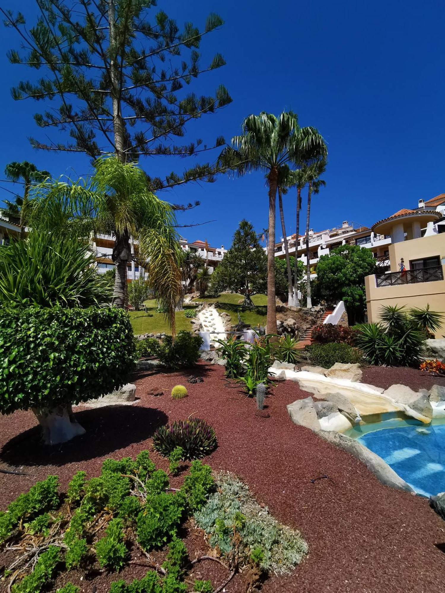 Strelitzia Apartment - Ocean View & Heated Pool San Miguel de Abona Esterno foto